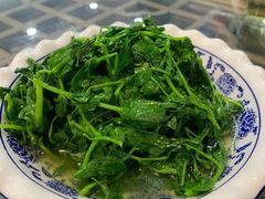炒豆苗-广迎居老正兴菜馆