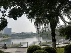 -后襄河公园