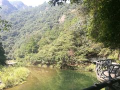 -龙湾潭国家森林公园