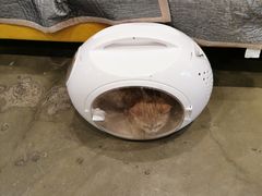 -PETKIT 小佩宠物·低压洗护·美容·寄养(安远店)