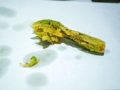 -みかわ是山居