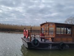 -宁波杭州湾国家湿地公园