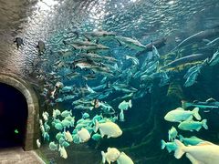 -波塞冬旅游度假区