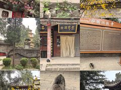 -兴教寺