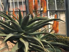 -南通洲际绿博园