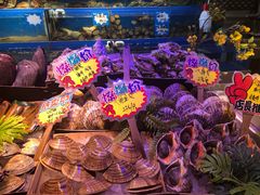 -黄寺蒸汽海鲜(黄寺大街店)