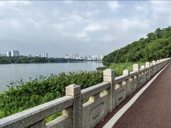 -南宁南湖公园