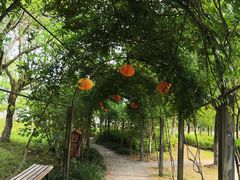 -上海长兴岛郊野公园