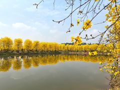-佛山市三水温泉度假村
