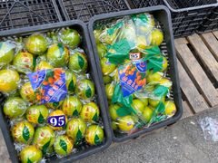 -徐州雨润农副产品全球采购中心