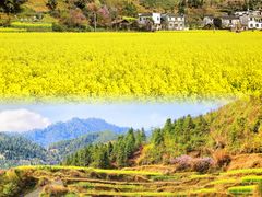 -婺源风景区