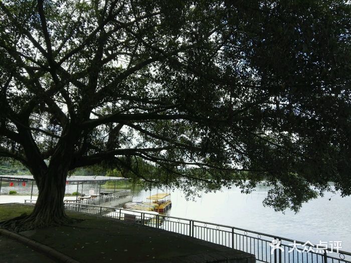 月岛湖度假区-图片-鹿寨县景点/周边游-大众点评网