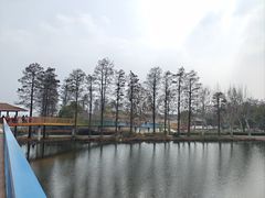 -东湖落雁景区