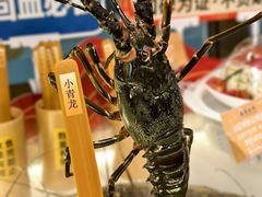-南海渔村(珠江新城店)
