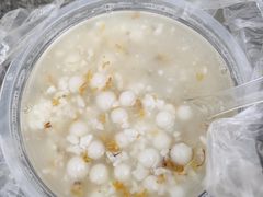 -潘玉麟糖粥