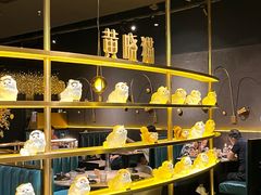 -黄晓猫剁椒大鱼头(海岸城店)
