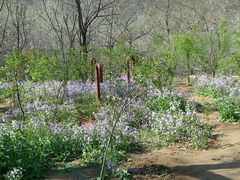 -封龙山风景区