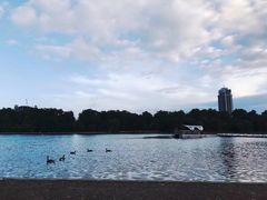 -海德公园