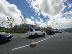 -花岙岛