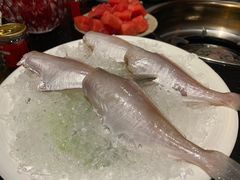 耗儿鱼-矮板凳老火锅(宽窄巷子店)