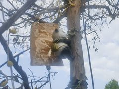 -后湖小院·乡野田园菜