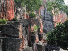 -黄贤森林公园
