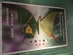 -上海昆虫博物馆