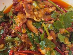 -京悦南门涮羊肉·羊蝎子火锅(田林路店)
