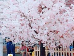 -Mr·Kuma酷么先生雪之乐园