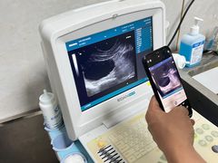 -关爱动物医院·心脏·中兽医·异宠(金牛路分院)