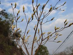 -瑞安圣井山景区