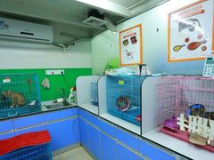 -瑞派动物医院·猫专科·至诚(江南中分院)