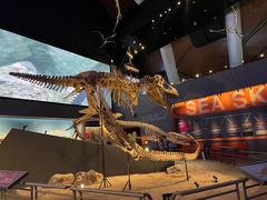 -国家自然博物馆