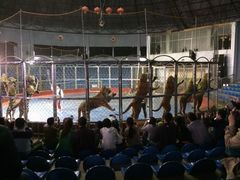 iphone_upload_pic-西安秦岭野生动物园