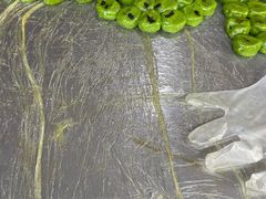 -沈记青团