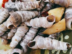 和味炒丁螺-贞姨美食·老字号海鲜大排档