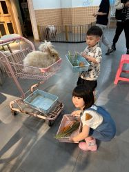 -Moni星球萌宠·小马宝莉·灵蛇·高端高阶全萌宠互动体验俱乐部(红豆国际广场店)