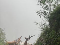 -鹿院坪生态旅游景区