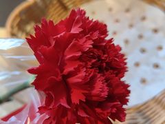 -金狮麟·新豫菜(杏石口路店)