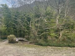 -黄公望隐居地