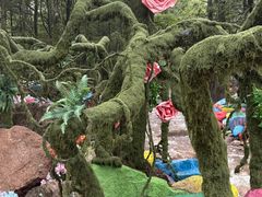 -洛阳白云山景区