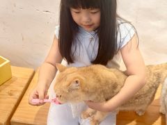 -李小姐の猫咖啡馆(五角场店)