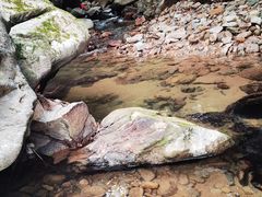 -梧桐山风景名胜区