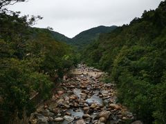 -海南热带雨林国家公园吊罗山景区