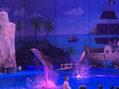 -华夏文旅海洋公园