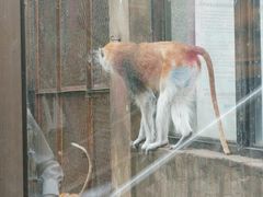 -昆明动物园
