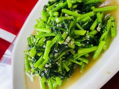 蒜泥茼蒿-野菌王牦牛肉汤锅