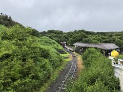 -济州森林小火车生态公园
