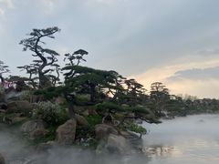 -罗红摄影艺术馆