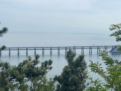 -星海湾跨海大桥